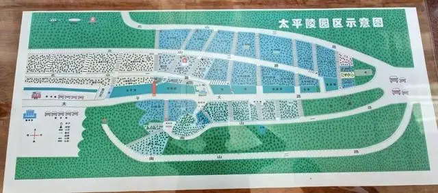 青岛崂山风景区数百亩青山变墓地