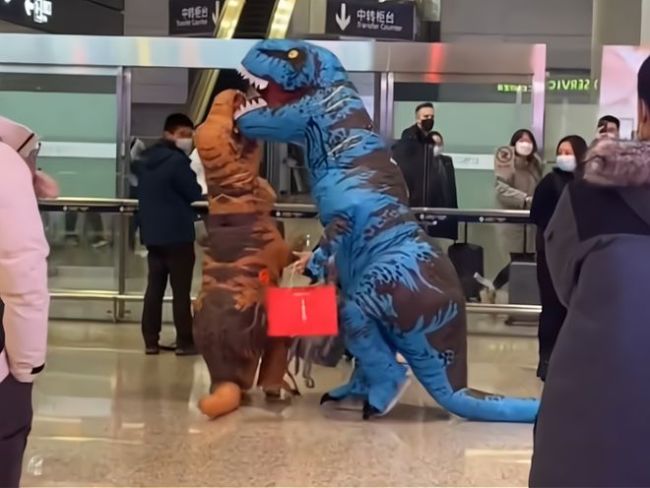 父子扮恐龙去机场接支教妈妈回家