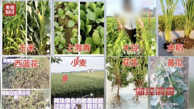 央视曝光农业“量子科技”新骗局