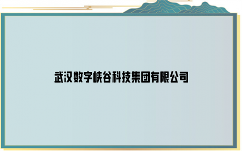 武汉数字峡谷科技集团有限公司