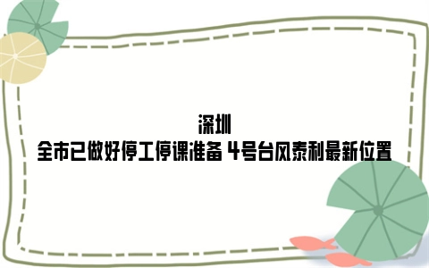 深圳全市已做好停工停课准备 4号台风泰利最新位置
