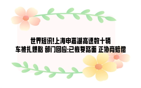 世界短讯！上海申嘉湖高速数十辆车被扎爆胎 部门回应：已恢复路面 正协商赔偿