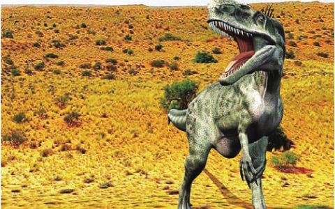 福建发现恐爪龙类足迹 或为全球最大，福建龙翔恐龙足迹群发现全球最大恐爪龙类足迹